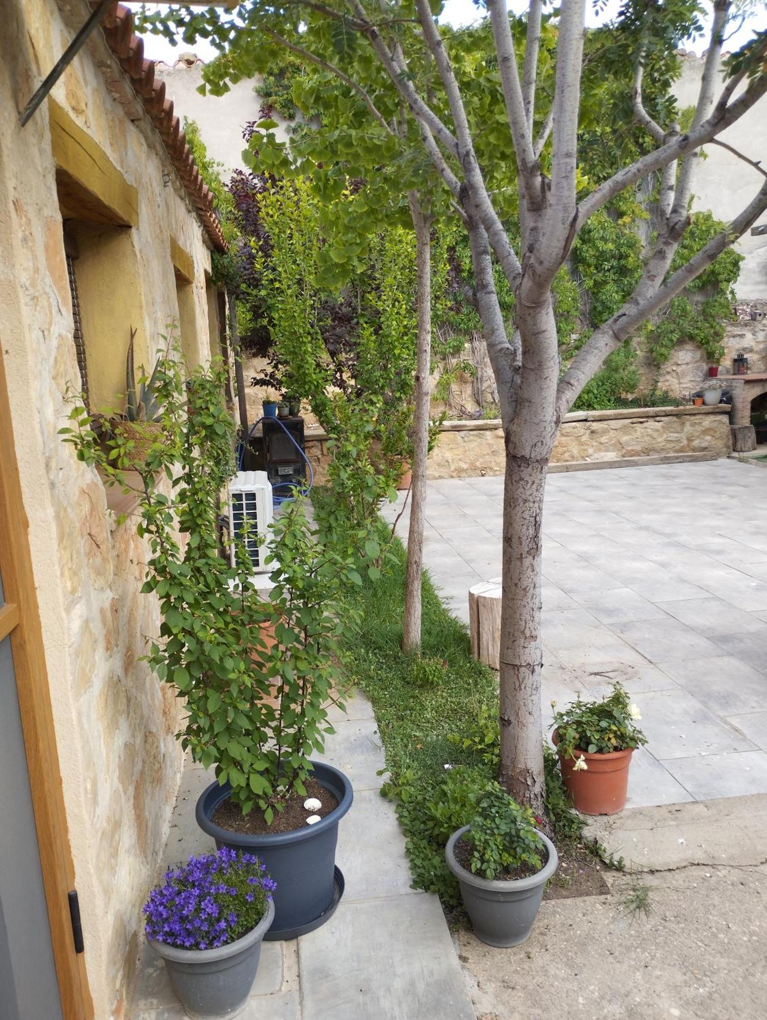 Casa Rural El Olivo Puigmoreno Luaran gambar